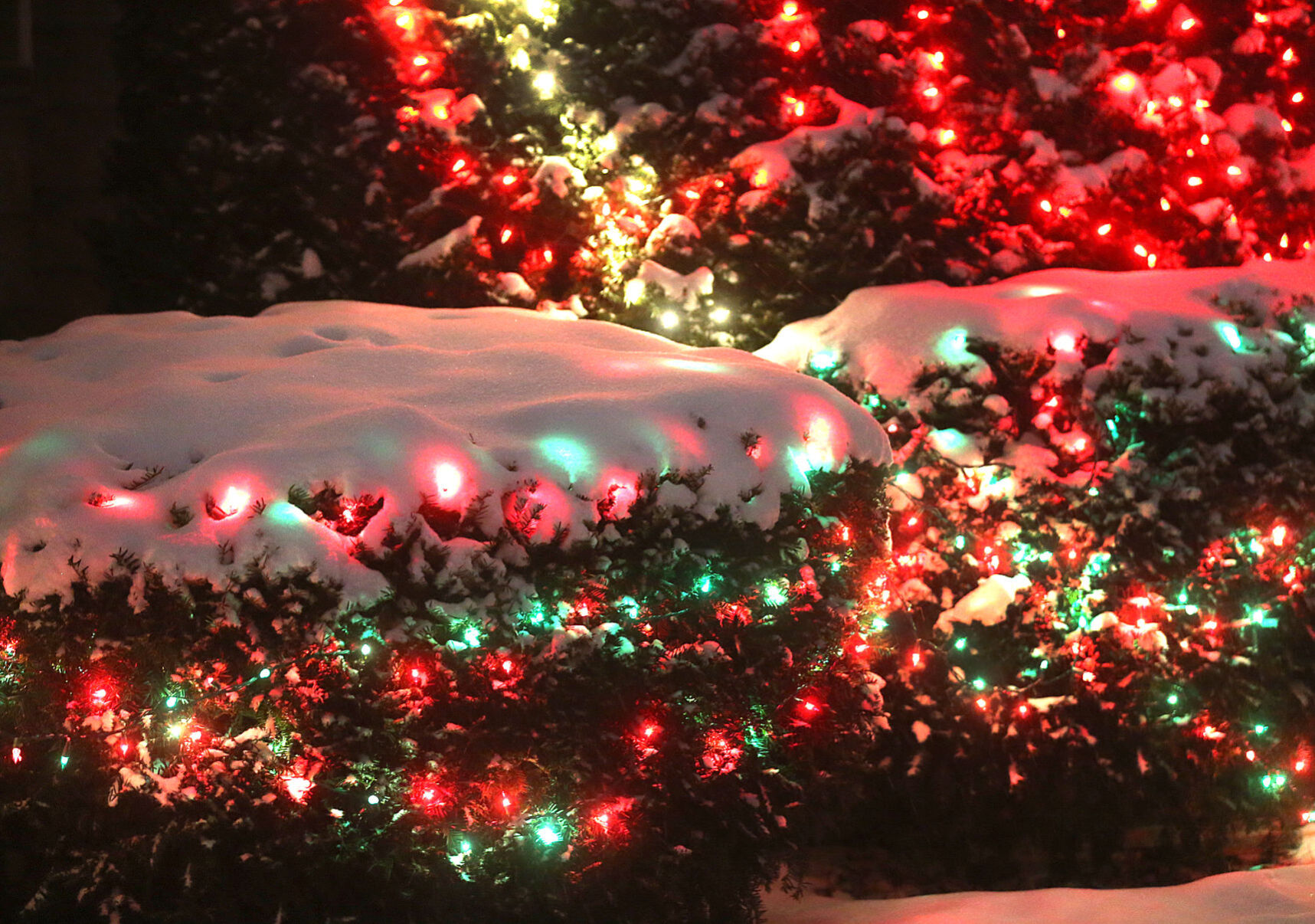 December 29: Winter storm